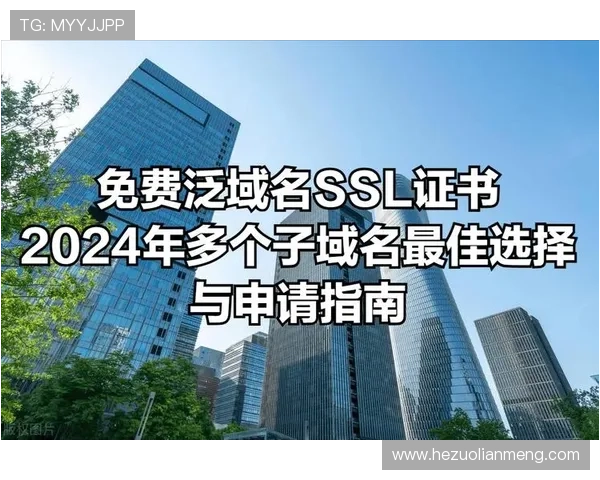 壹号娱乐官网入口登录网址2024年最新官方入口，提供便捷安全的登录服务指南